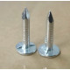Clous pointes tête plate pour shingles et roofing - longueur 20mm - 500gr - Gardy Shelter