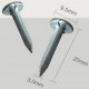 Clous pointes tête plate pour shingles et roofing - longueur 20mm - 500gr - Gardy Shelter