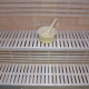 Sauna traditionnel Moderne 4 places + poêle SAWO 6000W - SNÖ
